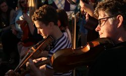 fiddlers-sunlight